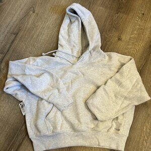 Heather Grey Crop Aritzia Sweatershirt